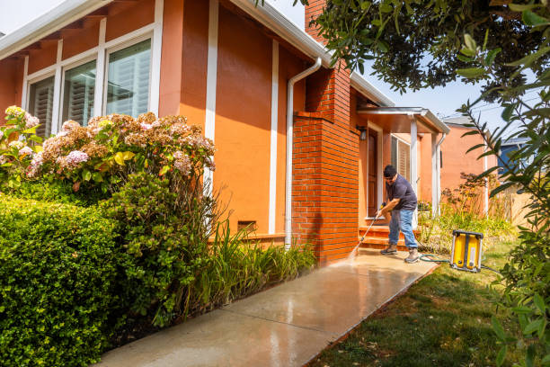 Best Local Pressure Washing Services  in Grayson, GA